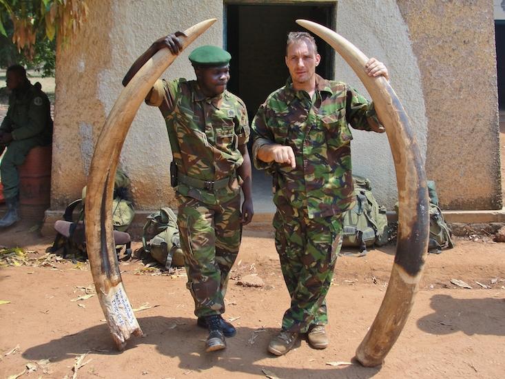 poaching tusks_HERO