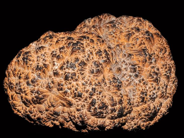 polymetallic nodule_HERO