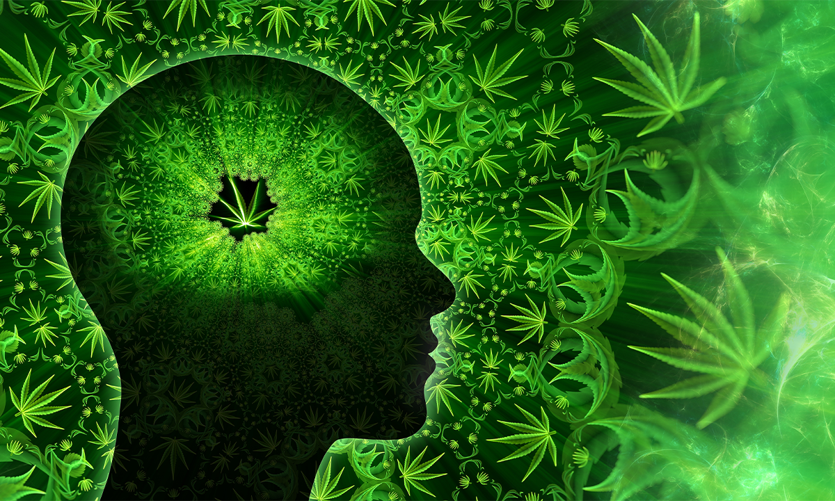 Silhouette of a human head filled with glowing cannabis leaf patterns representing effects on the brain. Credit: synthetick / Shutterstock.