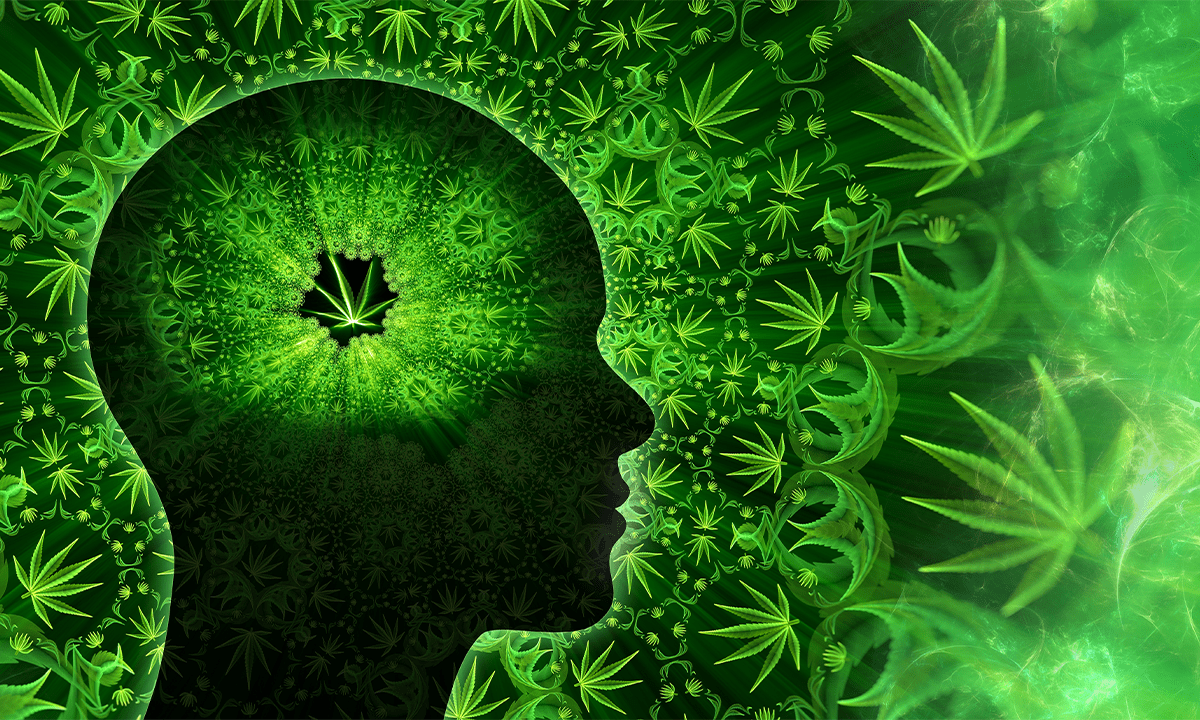 Silhouette of a human head filled with glowing cannabis leaf patterns representing effects on the brain. Credit: synthetick / Shutterstock.