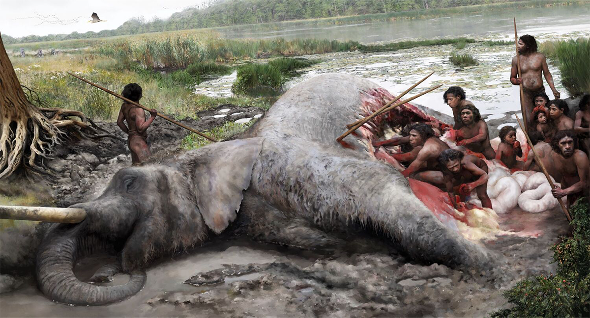 This illustration gives an idea of how Neanderthals would have butchered an elephant: they used flint tools to break open the thick elephant skin and then remove the organs and meat. Hunting a male elephant like this, could have only been successful as a well-organised group. Credit: Tom Björklund, Lower Saxony State Office for Heritage (NLD).