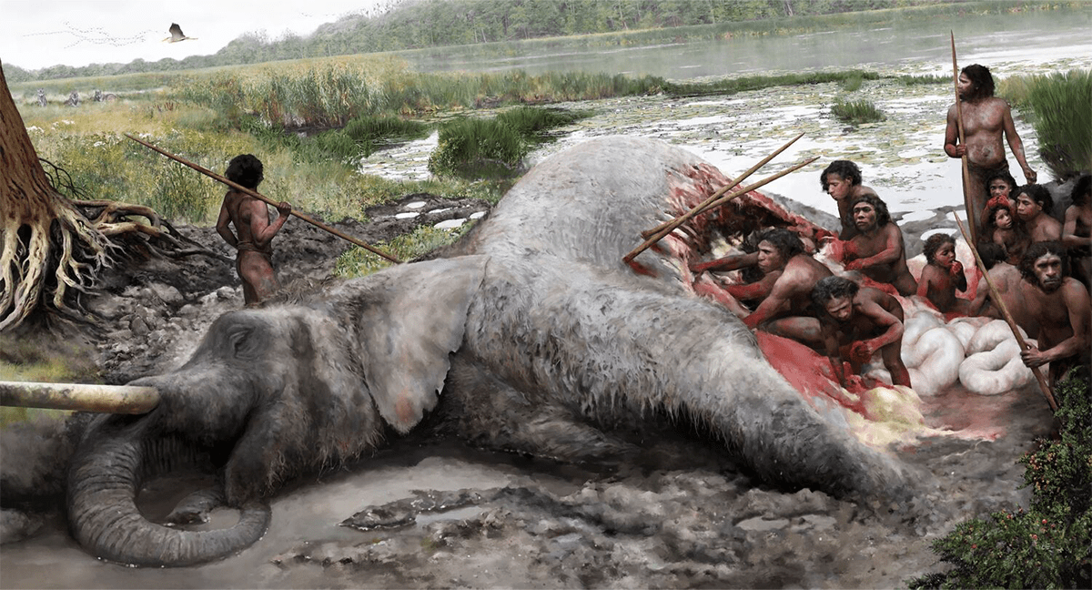 This illustration gives an idea of how Neanderthals would have butchered an elephant: they used flint tools to break open the thick elephant skin and then remove the organs and meat. Hunting a male elephant like this, could have only been successful as a well-organised group. Credit: Tom Björklund, Lower Saxony State Office for Heritage (NLD).