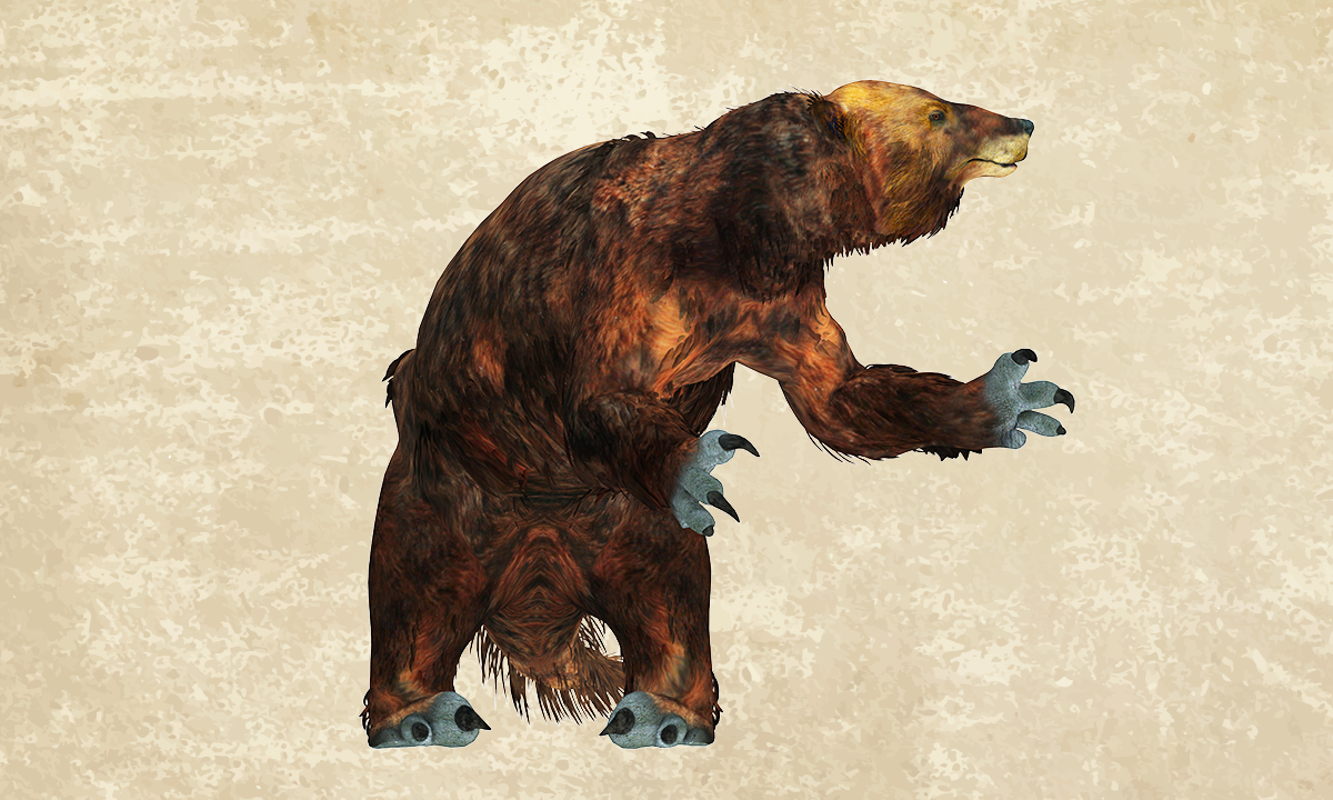 Megatherium Sloth