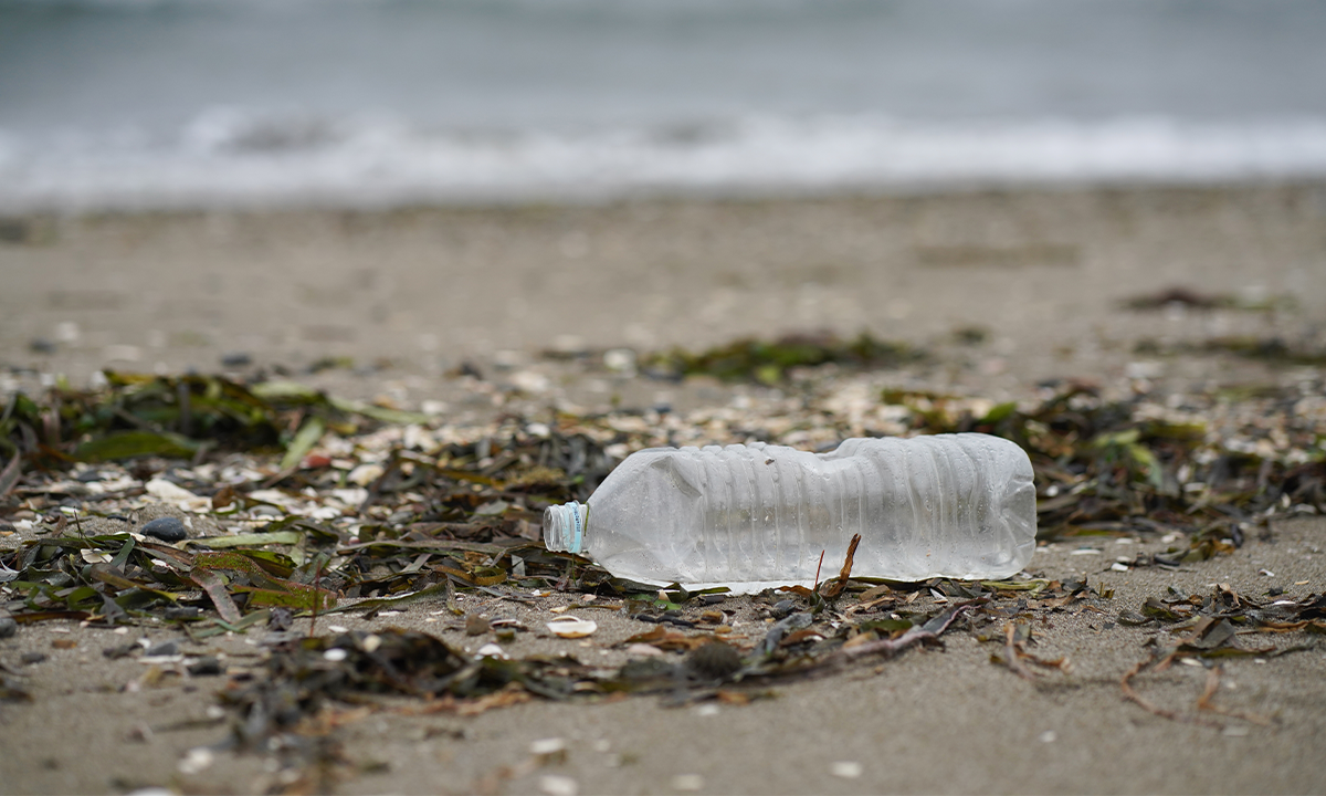 Plastic bottle washed up on the shore. Credit: yamasan0708 / Shutterstock.