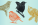 Set of European forest and garden birds. Credit: Arthur Balitskii / Shutterstock
