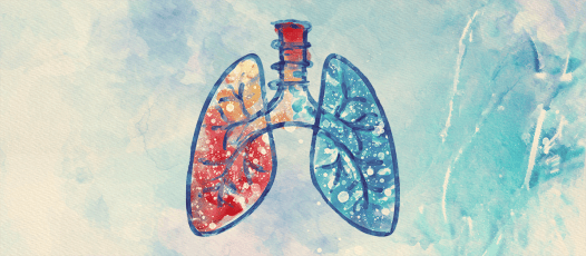 Lung-on-a-Chip Reveals How Asthma Attacks Permanently Change Airways
