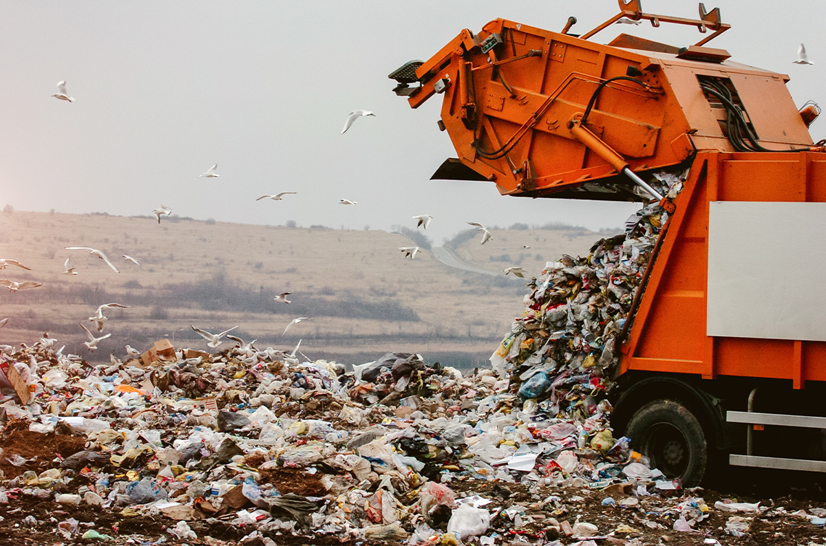The Trouble with Trash