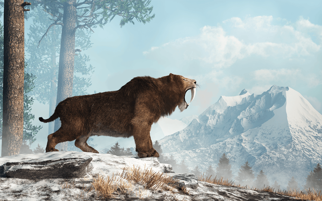 Was the Saber-Toothed Cat Doomed by Its Signature Fangs?