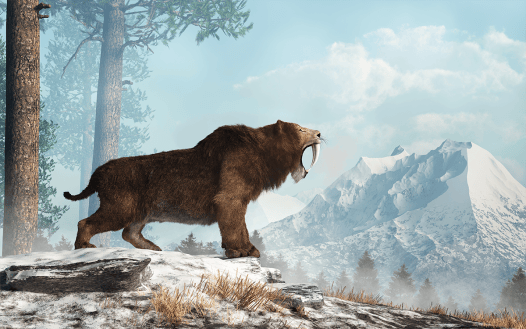 Was the Saber-Toothed Cat Doomed by Its Signature Fangs?
