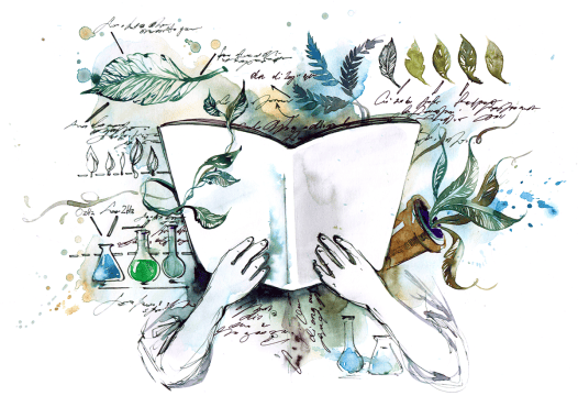 The Nautilus Guide to the Best Books on the Science of Art