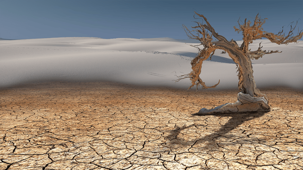 Here’s How Long It Will Take Plant Life to Die Off Completely
