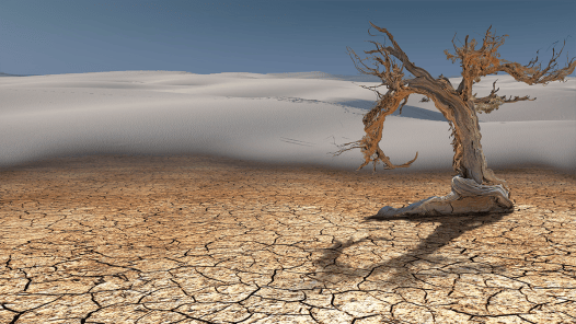 Here’s How Long It Will Take Plant Life to Die Off Completely