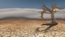 Here’s How Long It Will Take Plant Life to Die Off Completely