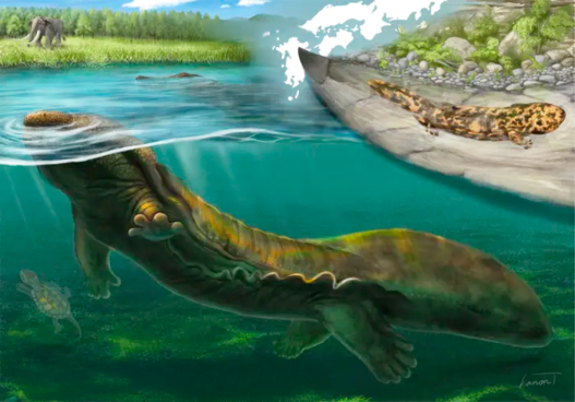 This Prehistoric Giant Salamander Grew to Almost 4 Feet Long