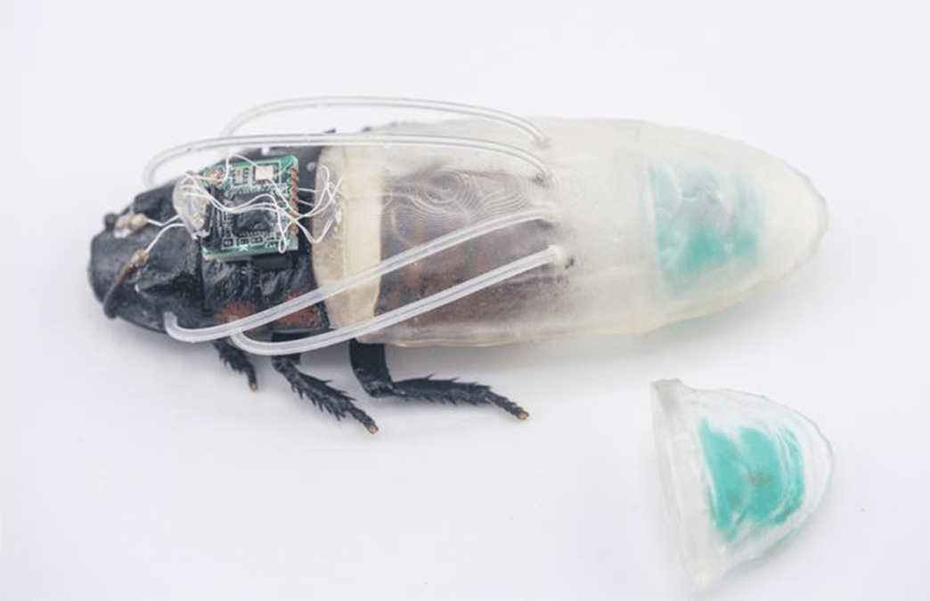 Watch This Cyborg Cockroach Test Its New Diving Suit