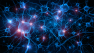 We May Owe Our Intelligence to Our Unique Neurons