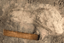 Mysterious Human Relative Was Bigger Than Previously Thought