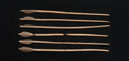 The Warrior Life of Ancient Egyptian Princesses
