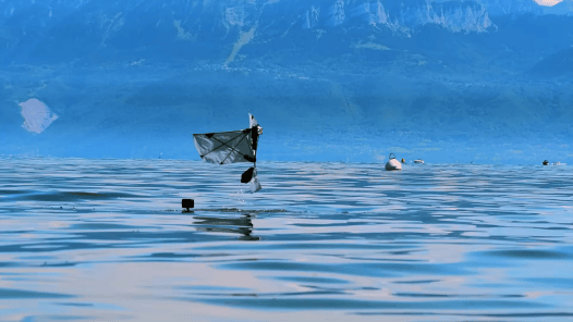 This Robot Can Flap Its Wings and Swim