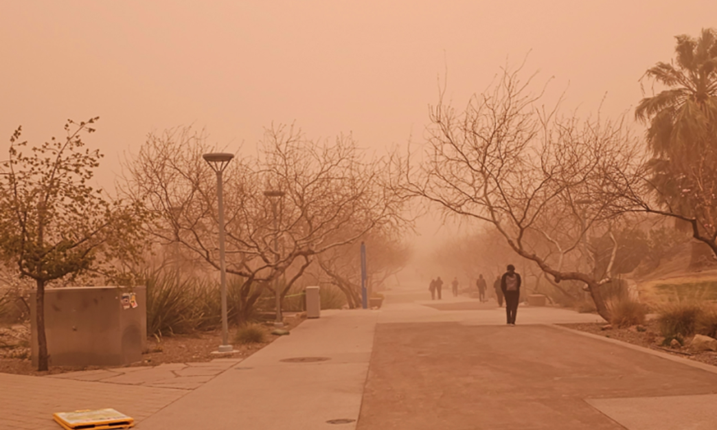 It Was a Record-Breaking Year for Dust Storms