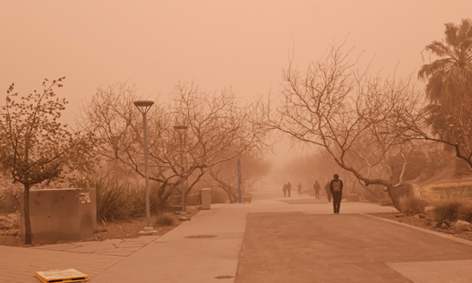 It Was a Record-Breaking Year for Dust Storms