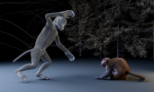 When Monkeys Enter the Uncanny Valley