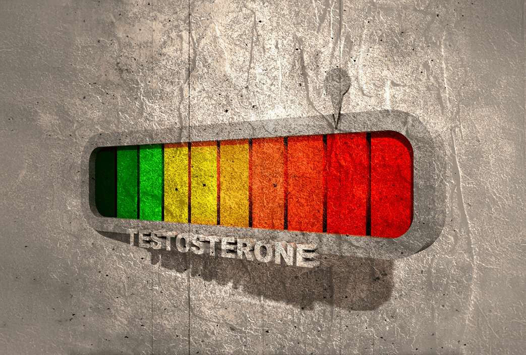 More Testosterone Won’t Make a Better Soldier or a Tougher Man – Aggression and Strength Drive T Levels, Not the Other Way Around