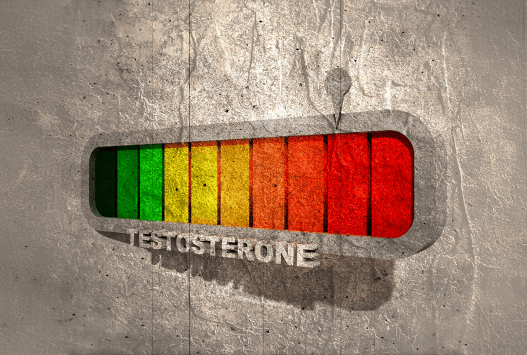 More Testosterone Won’t Make a Better Soldier or a Tougher Man – Aggression and Strength Drive T Levels, Not the Other Way Around