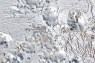 A Meteorological Rarity: Snow Across the Atacama Desert