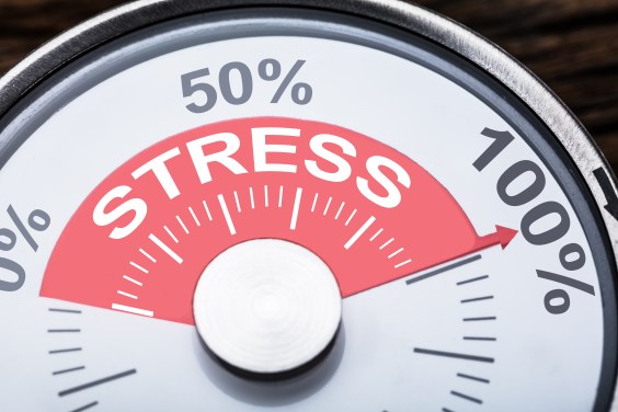 Your Ability To Cope With Stress Changes With The Seasons And Your Own Biological Clocks 1284678