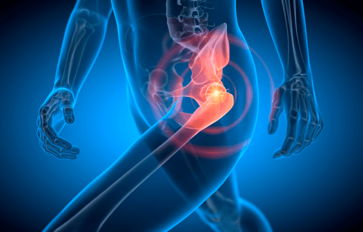 The Wonders of the Male Human Pelvis