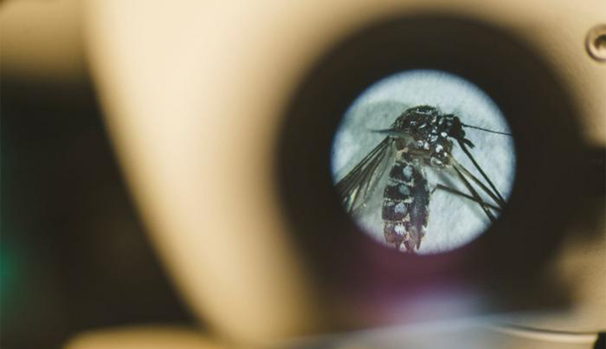 You’re Not a Universal Mosquito Magnet