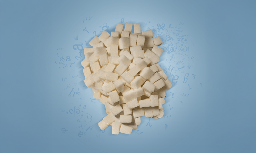 Your Big Brain Wouldn’t Be Possible Without Sugar