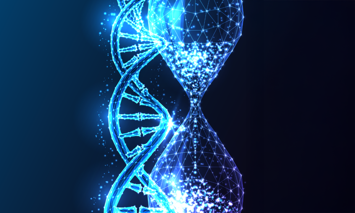 Could Physics Help Us Solve the Mystery of Aging?