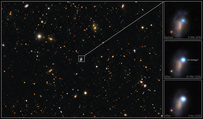 This Supernova Death of a Star Broke All the Rules