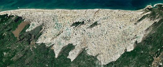 This Paradoxical Desert Landscape Is Filled with Fresh Water