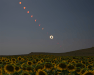 Awe-Inspiring Images from This Year’s Solar Eclipse