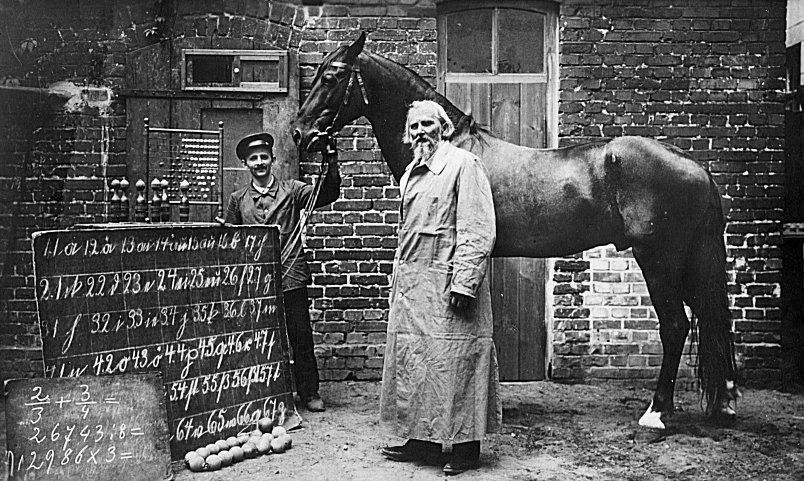 How a “Psychic” Horse Named Clever Hans Changed the Way We Do Science