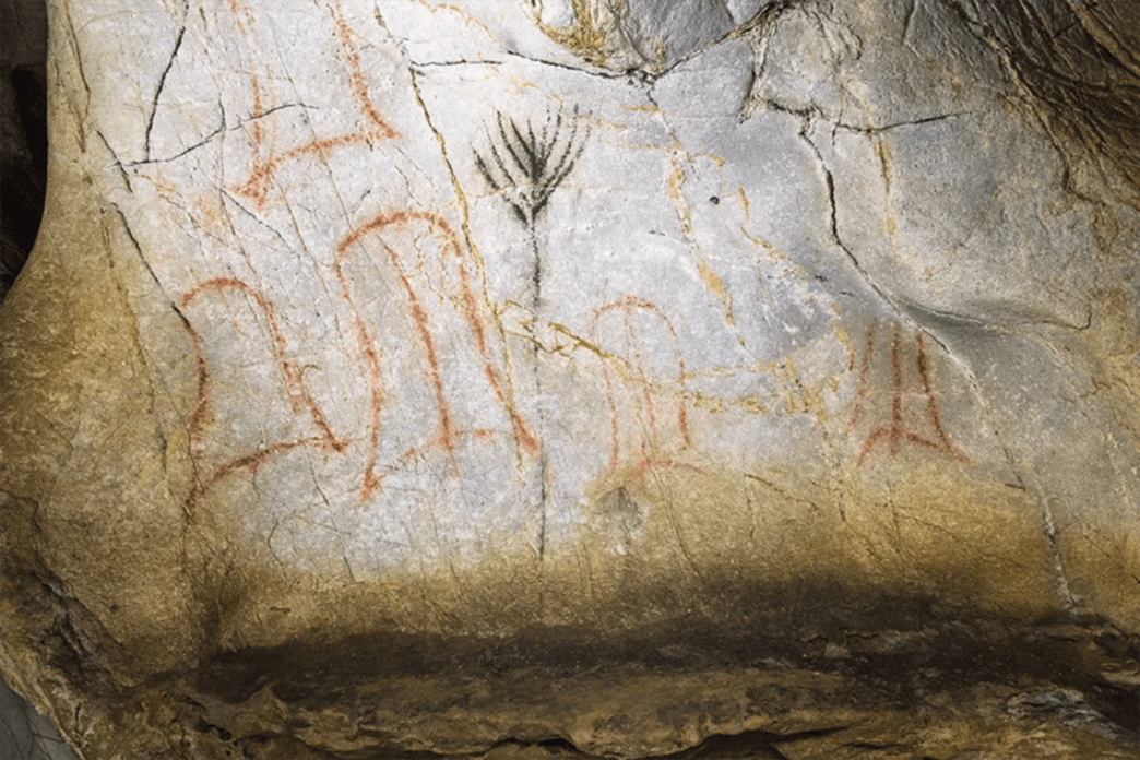 Is This the World’s Oldest Image of a Mind‑altering Plant?