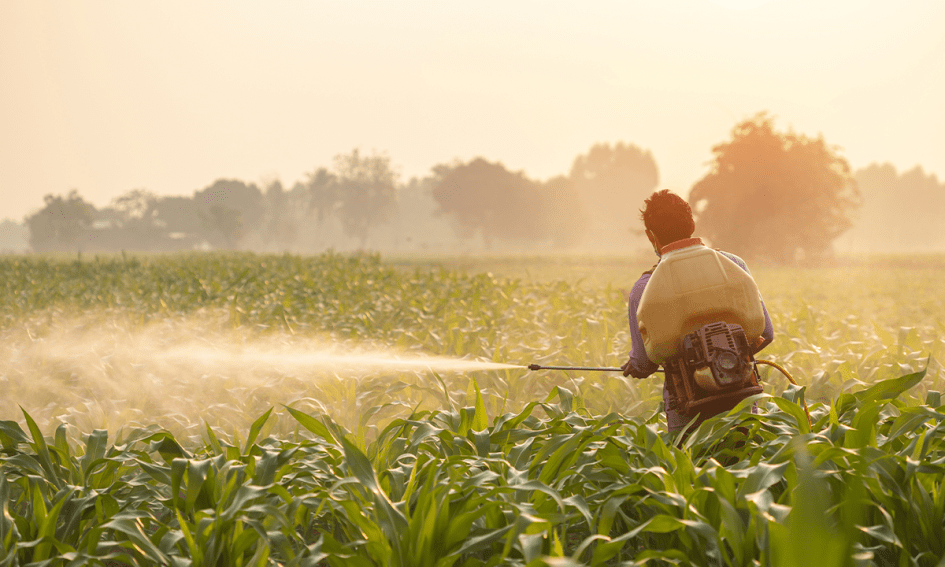 Pesticide Exposure at Work May Increase Motor Neurone Disease Risk