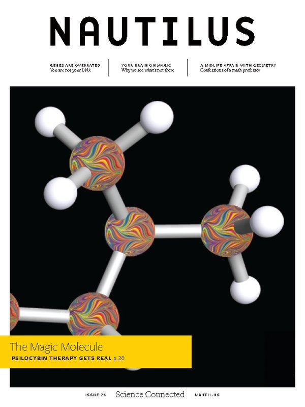 Nautilus Issue 26 cover