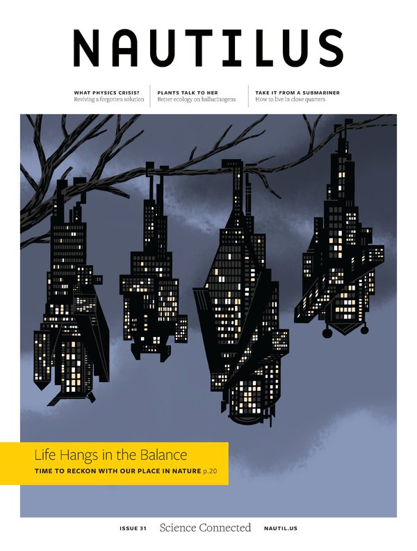 Nautilus Issue 31 cover