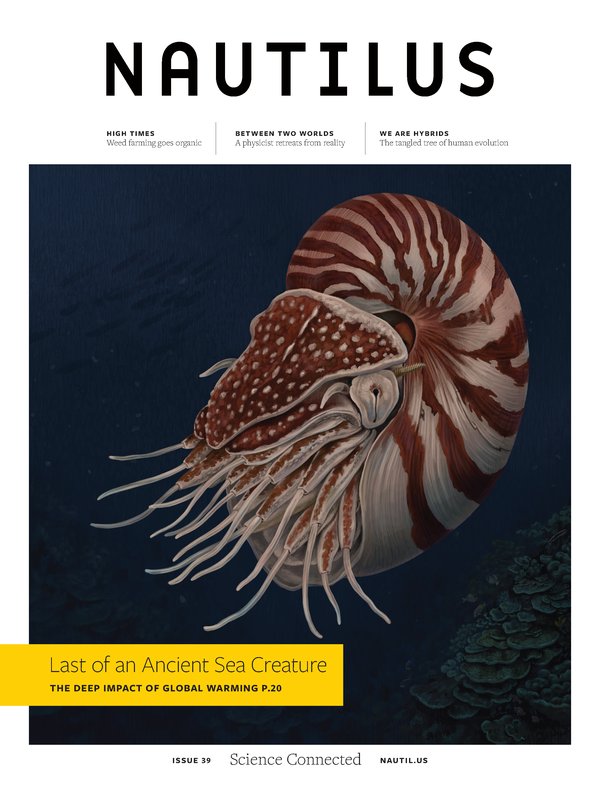 Nautilus Issue 39 cover