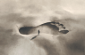 Why Human Giants Defy the Laws of Physics
