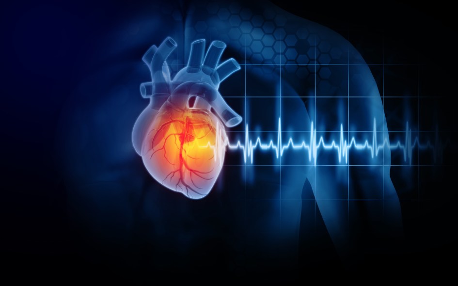 New Test for Broken-Heart Syndrome Offers Insights into the Mysterious Disease