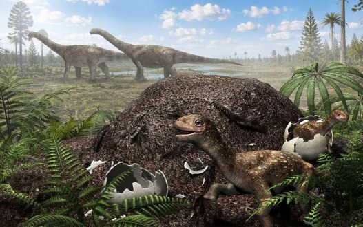 Dinosaur Eggs Have Never Been Discovered This Far South Before