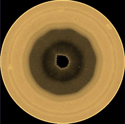Astronomers Spot a Strange Atmospheric Wave Above Saturn’s South Pole