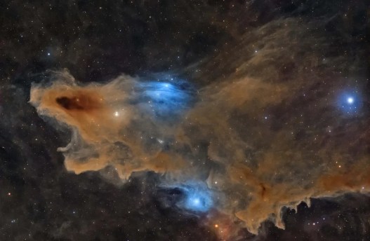This Nebula Looks Like a Shark