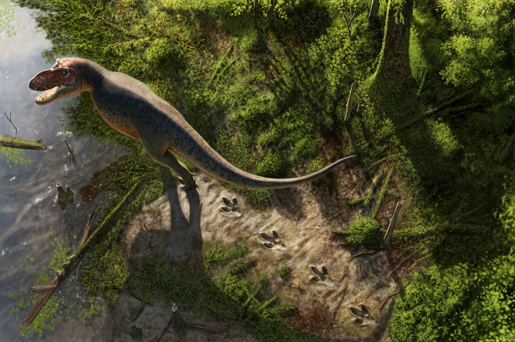 Here’s How Fast An Adult Tyrannosaurus Rex Walked