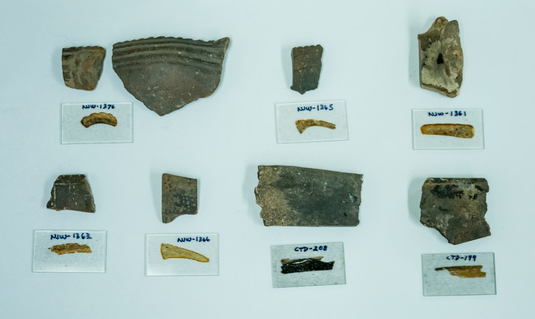 The Mysterious Migrant Potters of Ancient Tampa Bay
